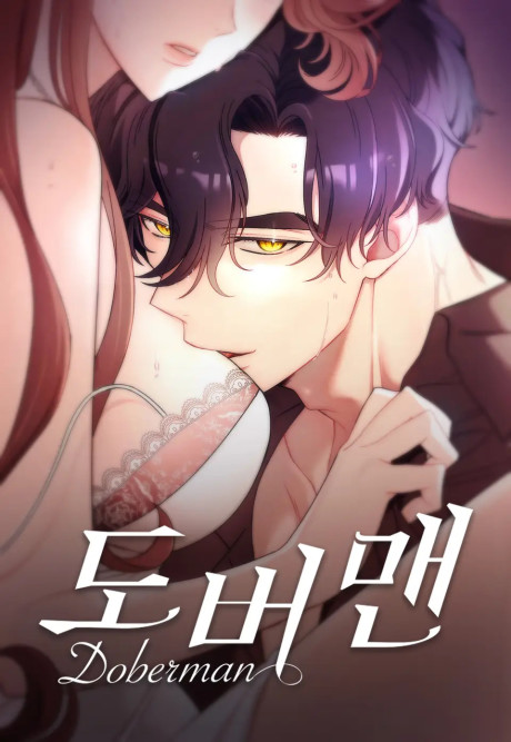 Doberman Cover Image