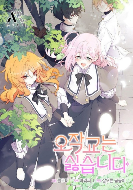 I don't want to be a magip bridge AR Cover Image