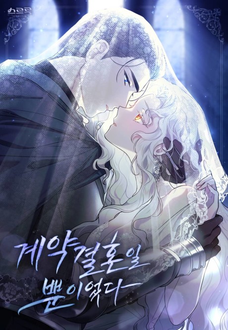 It Was Just a Contractual Marriage Cover Image