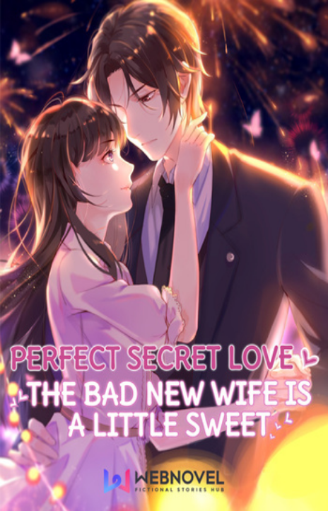 Perfect Secret Love Cover Image