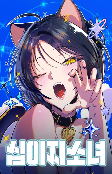 Twelve Zodiac Girls Cover Image